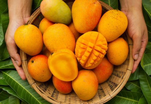 Xoài Việt Nam được người tiêu dùng Trung Quốc ưa chuộng.