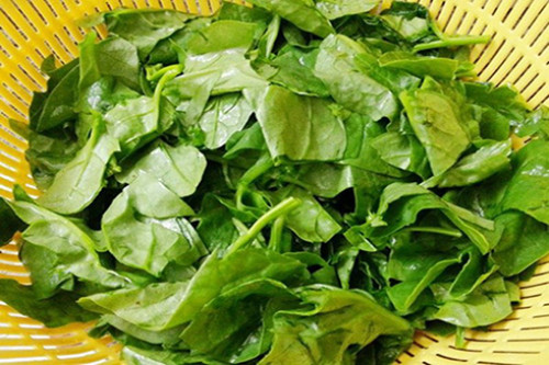 Lợi ích của rau mồng tơi