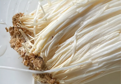Kinh nghiệm mua nấm kim châm 1