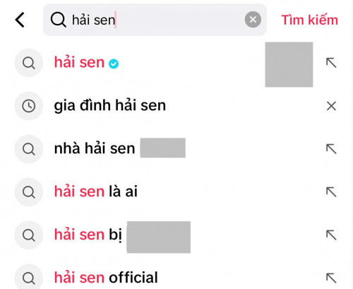Gia Đình Hải Sen - TikToker bán thực phẩm chức năng "biến mất" bí ẩn, gỡ luôn giỏ hàng- Ảnh 1.