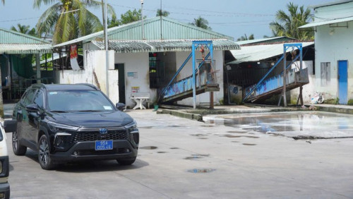 Cảnh trong cơ sở giết mổ heo gia công cho Công ty C.P Việt Nam tại Hậu Giang- Ảnh 1.