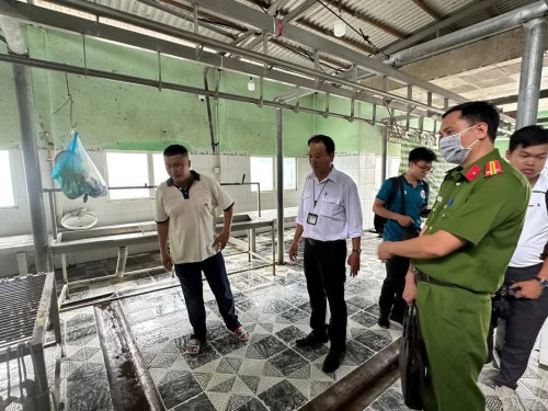 Toàn cảnh bê bối của C.P. Việt Nam