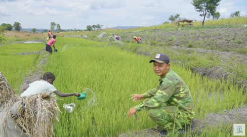 Tình hình canh tác tại trang trại.