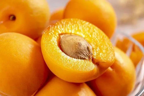Mơ Vàng - trái cây bổ dưỡng