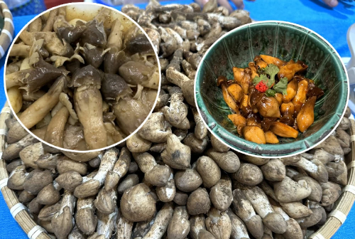 Nấm mối cung cấp nhiều lợi ích sức khỏe.
