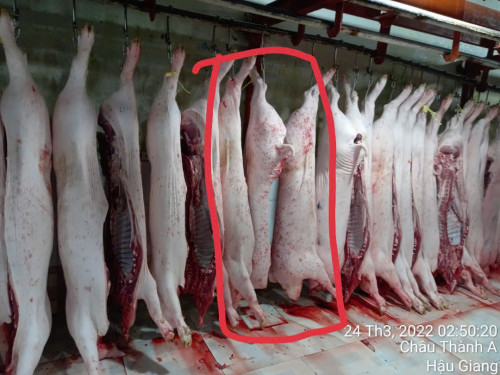 Vụ việc của hàng C.P. Việt Nam: Ông L.Q.N lại tung thêm bằng chứng?- Ảnh 1.