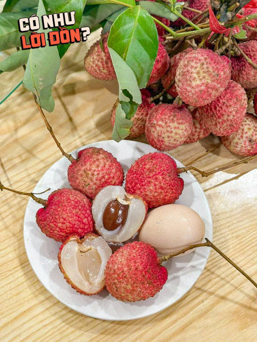 Vải trứng Hưng Yên