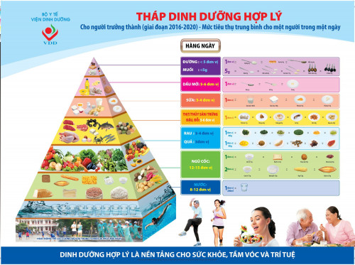 Việt Nam lần đầu có 6 tháp dinh dưỡng theo tuổi- Ảnh 2.