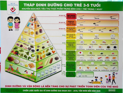 Việt Nam lần đầu có 6 tháp dinh dưỡng theo tuổi- Ảnh 4.