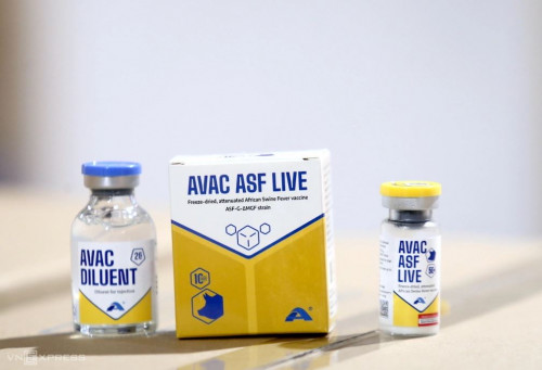 Vaccine Avac ASF Live đã chính thức có mặt tại Indonesia.