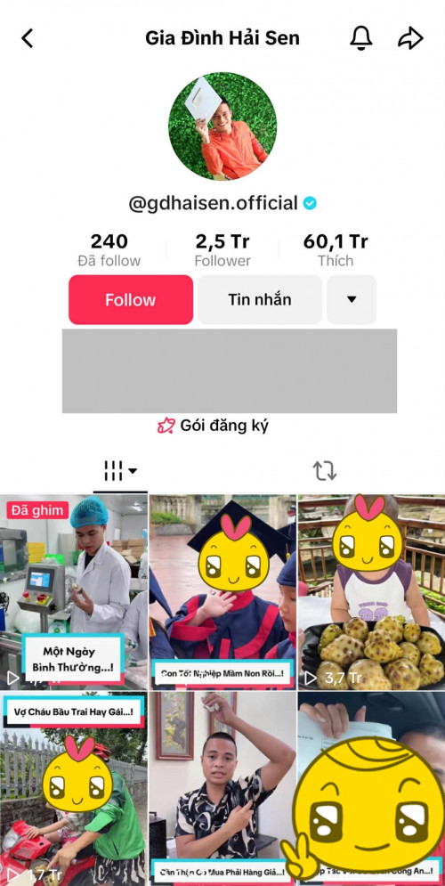 Kênh TikTok Gia Đình Hải Sen