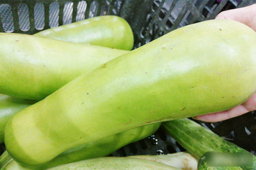 Chàng trai suy thận sau khi ăn 2 miếng rau.