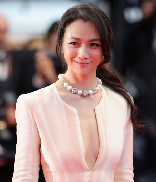 Căng: 1 đại hoa đán bị tố tác động vật lý trừng lý ở Cannes, triêu ngươi réo tên Thư Kỳ - Phạm Băng Băng - Ảnh 6.