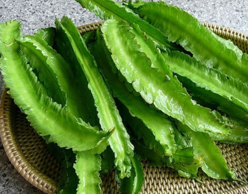 Đậu rồng là thực phẩm hỗ trợ giảm cân hiệu quả.