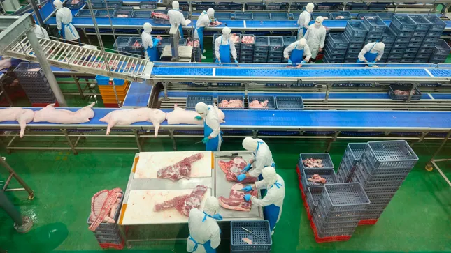 Kiểm tra Công ty CP trong đêm- Ảnh 2.
