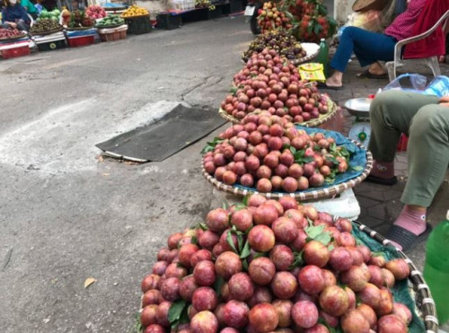 "2 không" khi ăn mận, biết mà tránh kéo rước họa- Ảnh 1.