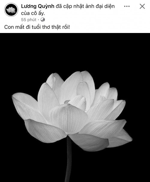 Quỳnh Lương qua đời vì uống phải thuốc giã, Lê Giang cùng dàn sao đồng loạt chia buồn- Ảnh 1.