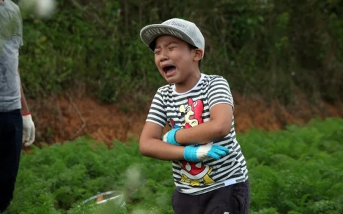 Tê Giác trong chương trình “Bố ơi! Mình đi đâu thế?”