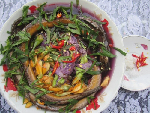 Bèo tây om lưỡn