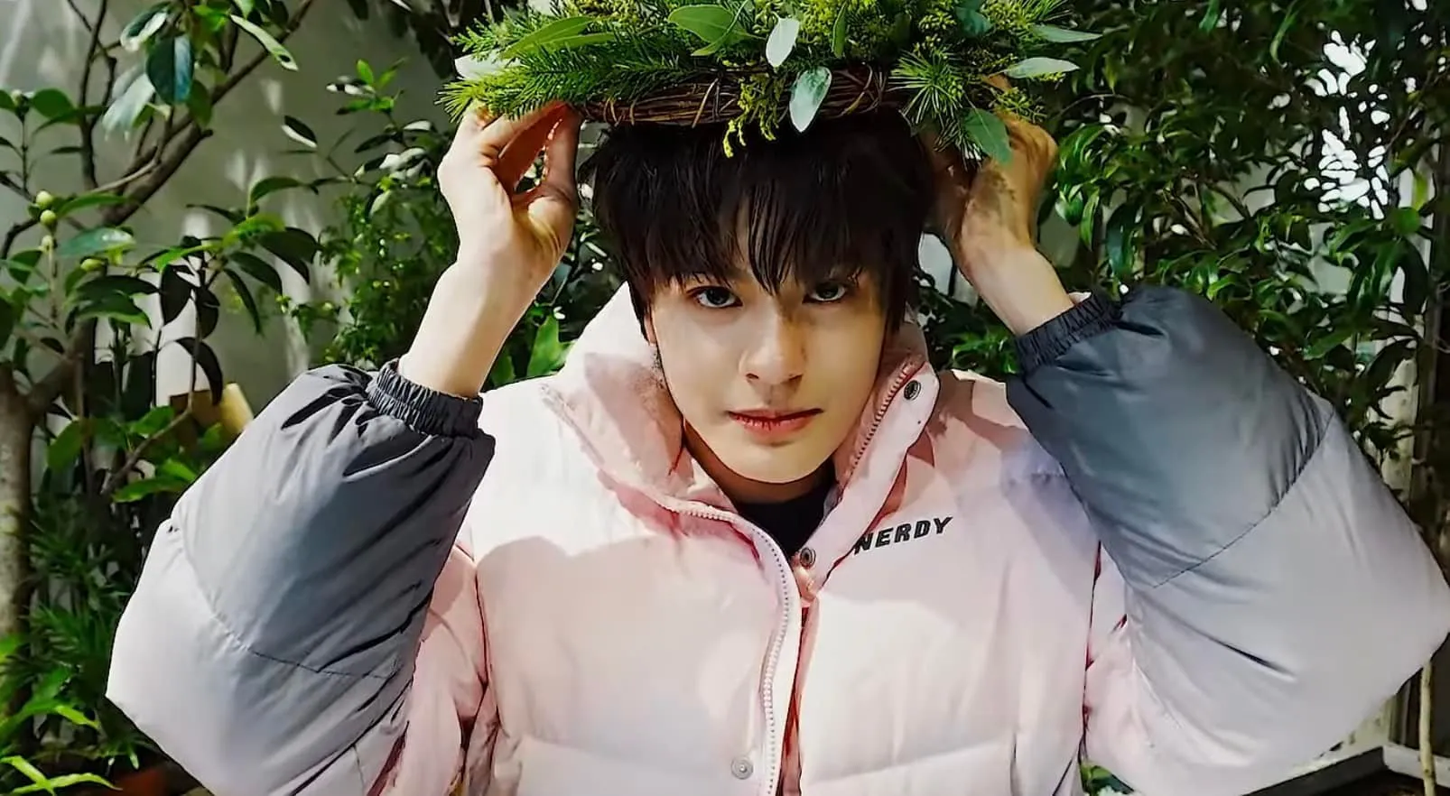 Hồng Hải trong môi trường Kpop.