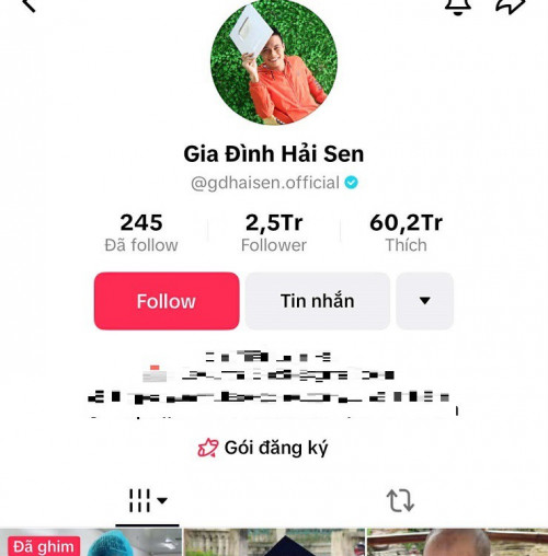 Kênh TikTok 'Gia đình Hải Sen' có hàng triệu người theo dõi bị bắt