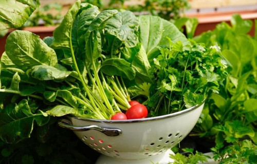 Chuyên gia vạch rõ ảnh hưởng của việc nhận biết rau có thuốc trừ sâu