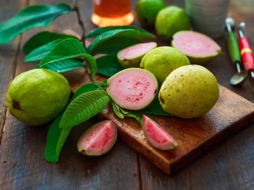 Uống nước lá ổi là khôi phục bệnh đái tháo đường: BS giải thích cơ chế, nói rõ tác dụng đến đâu - Ảnh 3.
