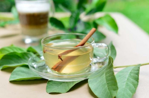 Uống nước lá ổi là khôi phục bệnh đái tháo đường: BS giải thích cơ chế, nói rõ tác dụng đến đâu - Ảnh 2.