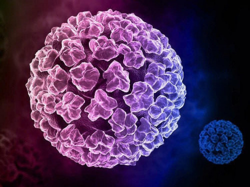 TP.HCM: Cô gái 25 tuổi cùng lúc nhiễm 21 chủng virus HPV, có 14 chủng thuộc nhóm nguy cơ gây ung thư cao.