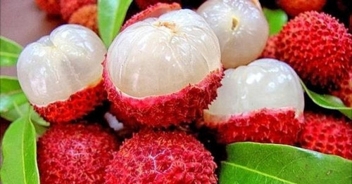 Vải - trái cây mùa hè