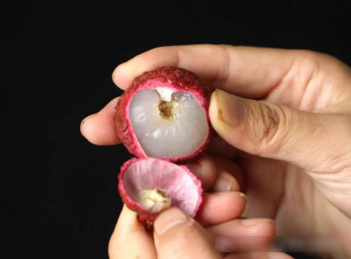 Bóc vỏ quả vải, phần đen trên cuống là gì? Nhiều người nghĩ là "phần sầu", chuyên gia trả lời- Ảnh 2.