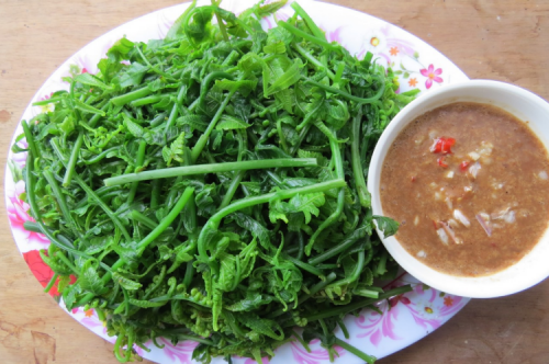 Rau dớn