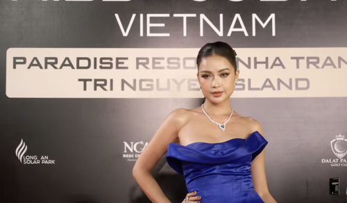 Thí sinh Miss Cosmo Vietnam