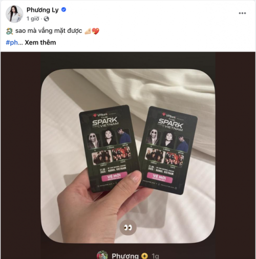 Fan Phương Ly tại concert