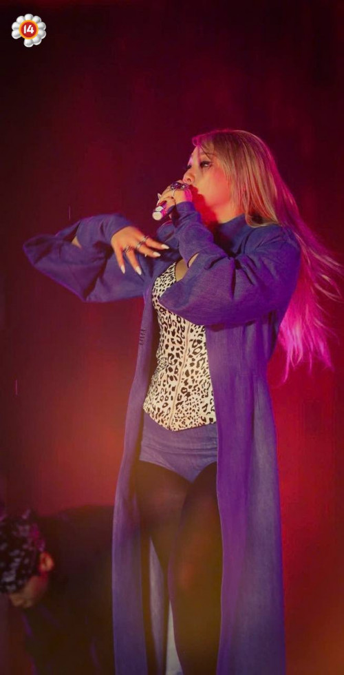 Khán giả tại concert