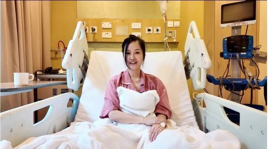 Quyết định tàn bạo của Hồng Nhung- Ảnh 2.