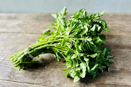 Cải xoong, loại rau phổ biến với nhiều lợi ích sức khỏe.