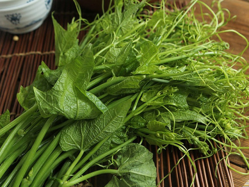 Rau bí mang lại nhiều lợi ích cho sức khỏe.