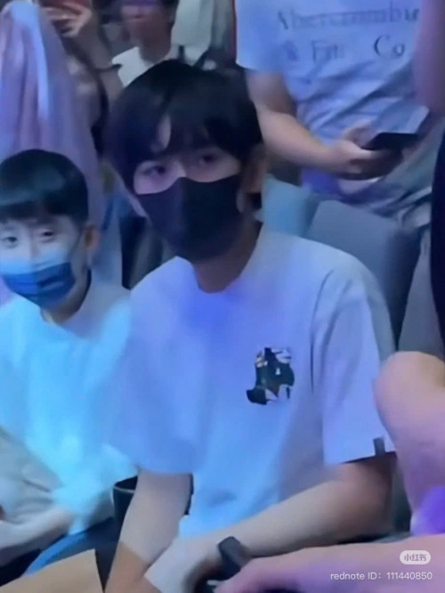 Kimi, con trai Lâm Chí Dĩnh, tại concert.