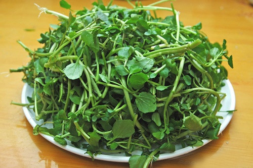 4 loại rau tốt nhất, giúp ngăn ngừa ung thư - Ảnh 4.
