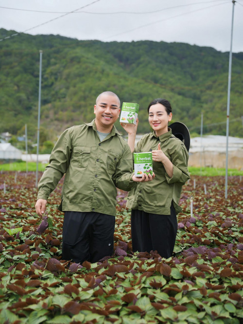 Công ty eHerbal