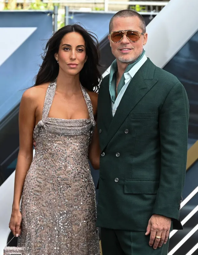 Biệt thự của Brad Pitt bị trộm đột nhập- Ảnh 3.