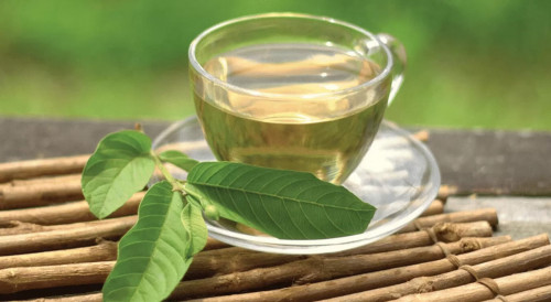 Trà lá ổi tốt cho sức khỏe.