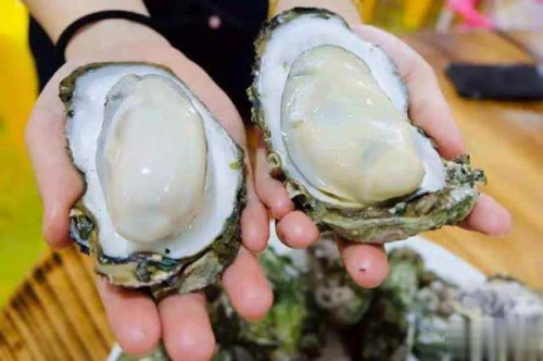 Hàu