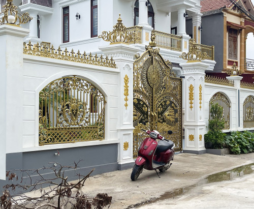 Hoạt động của công an