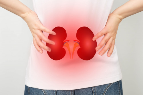 Cô gái trẻ 18 tuổi đã bị hỏng thận vì 3 kiểu ăn uống thường gặp ở người trẻ: BS khuyên làm ngay 4 việc để bảo vệ "nhà máy lọc máu" của cơ thể - Ảnh 3.