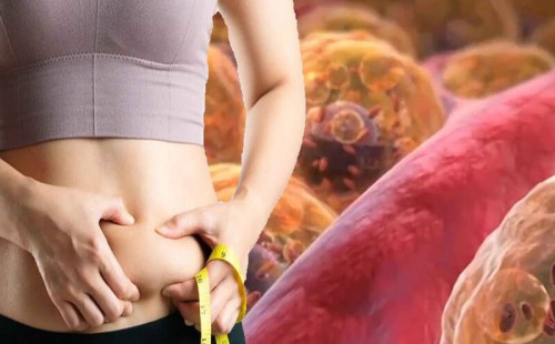 Lợi ích của rau bina trong việc giảm mỡ nội tạng