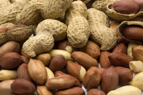 Thực phẩm chứa aflatoxin - Ảnh 2.