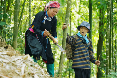 Duy Khánh livestream