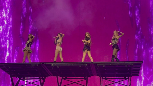 BLACKPINK biểu diễn